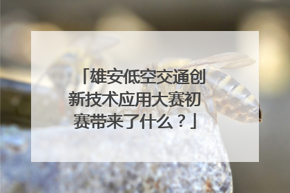 雄安低空交通创新技术应用大赛初赛带来了什么？
