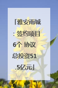 雅安雨城：签约项目6个 协议总投资51.5亿元