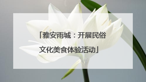 雅安雨城：开展民俗文化美食体验活动