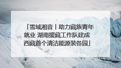 雪域湘音丨助力藏族青年就业 湖南援藏工作队建成西藏首个清洁能源装备园