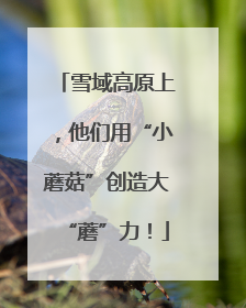 雪域高原上，他们用“小蘑菇”创造大“蘑”力！