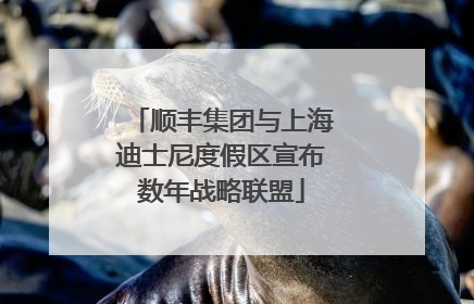 顺丰集团与上海迪士尼度假区宣布数年战略联盟