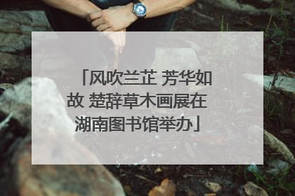 风吹兰芷 芳华如故 楚辞草木画展在湖南图书馆举办