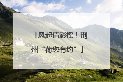 风起倩影摇！荆州“荷您有约”