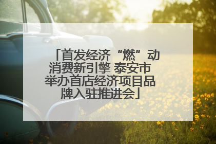 首发经济“燃”动消费新引擎 泰安市举办首店经济项目品牌入驻推进会