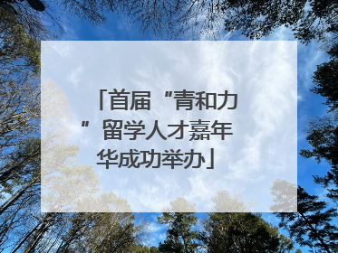首届“青和力”留学人才嘉年华成功举办