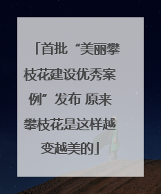 首批“美丽攀枝花建设优秀案例”发布 原来攀枝花是这样越变越美的