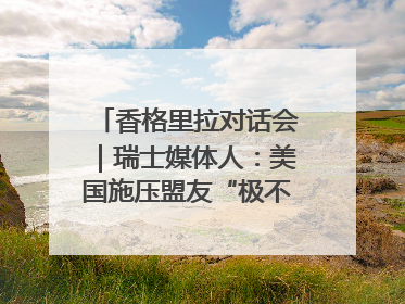 香格里拉对话会｜瑞士媒体人：美国施压盟友“极不理性” 欧洲国家无意与中国“脱钩断链”