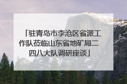 驻青岛市李沧区省派工作队莅临山东省地矿局二四八大队调研座谈