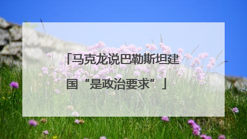 马克龙说巴勒斯坦建国“是政治要求”