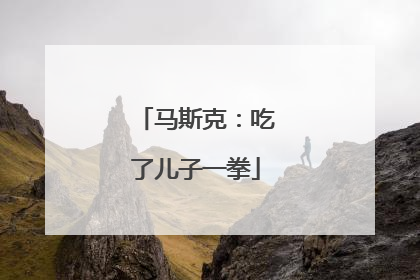 马斯克：吃了儿子一拳