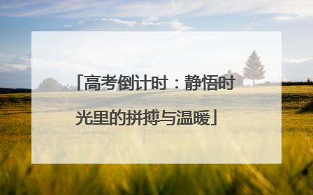高考倒计时：静悟时光里的拼搏与温暖