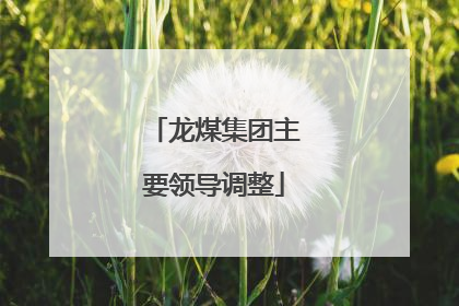 龙煤集团主要领导调整