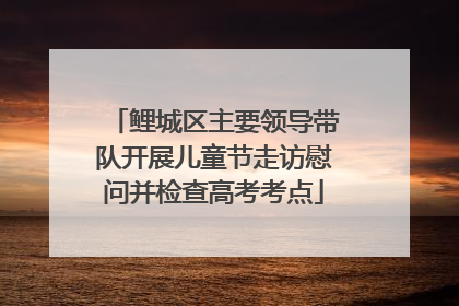 鲤城区主要领导带队开展儿童节走访慰问并检查高考考点