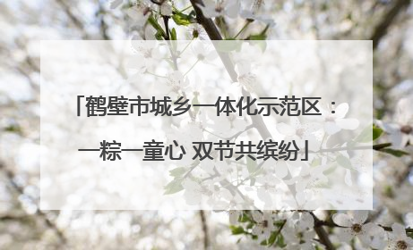 鹤壁市城乡一体化示范区：一粽一童心 双节共缤纷