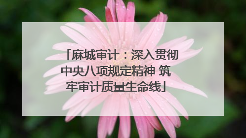 麻城审计：深入贯彻中央八项规定精神 筑牢审计质量生命线