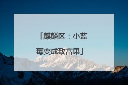 麒麟区：小蓝莓变成致富果