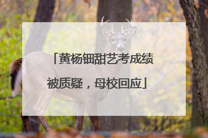 黄杨钿甜艺考成绩被质疑，母校回应