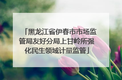 黑龙江省伊春市市场监管局友好分局上甘岭所强化民生领域计量监管