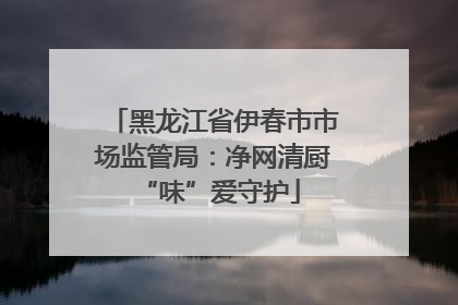 黑龙江省伊春市市场监管局：净网清厨 “味”爱守护