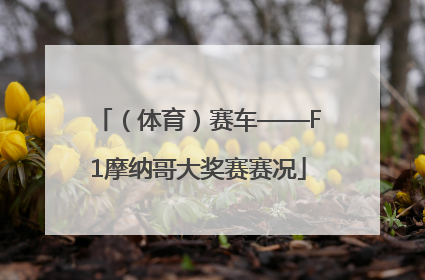 （体育）赛车——F1摩纳哥大奖赛赛况