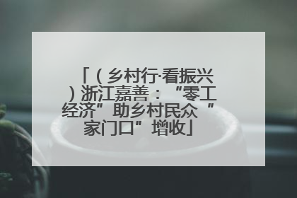 （乡村行·看振兴）浙江嘉善：“零工经济”助乡村民众“家门口”增收