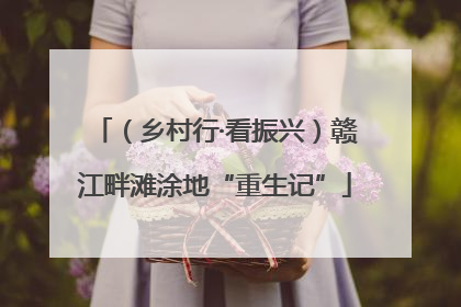 （乡村行·看振兴）赣江畔滩涂地“重生记”
