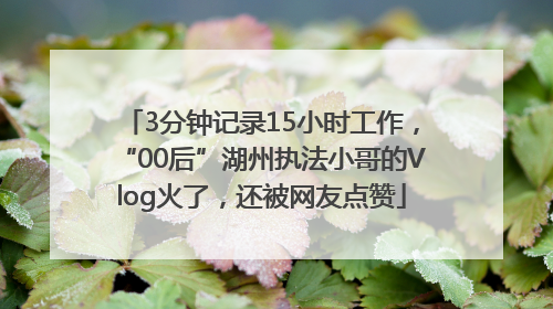 3分钟记录15小时工作，“00后”湖州执法小哥的Vlog火了，还被网友点赞