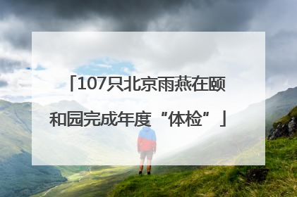 107只北京雨燕在颐和园完成年度“体检”