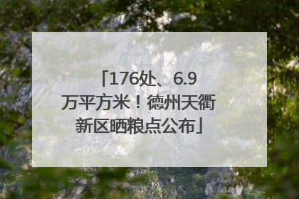 176处、6.9万平方米！德州天衢新区晒粮点公布