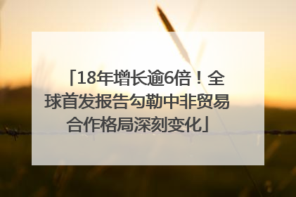 18年增长逾6倍！全球首发报告勾勒中非贸易合作格局深刻变化