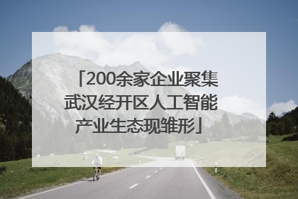 200余家企业聚集 武汉经开区人工智能产业生态现雏形