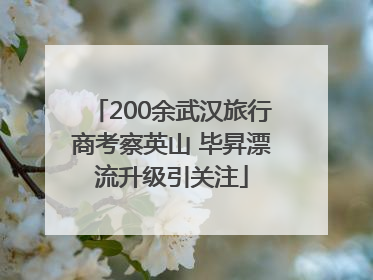 200余武汉旅行商考察英山 毕昇漂流升级引关注