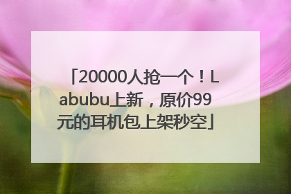 20000人抢一个！Labubu上新，原价99元的耳机包上架秒空