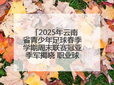 2025年云南省青少年足球春季学期周末联赛冠亚季军揭晓 职业球星与足球小将共享荣耀时刻