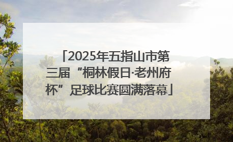 2025年五指山市第三届“桐林假日·老州府杯”足球比赛圆满落幕