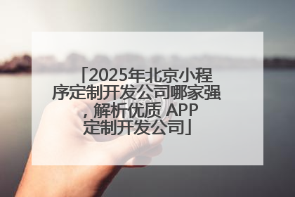 2025年北京小程序定制开发公司哪家强，解析优质 APP 定制开发公司