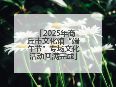 2025年商丘市文化馆“端午节”专场文化活动圆满完成