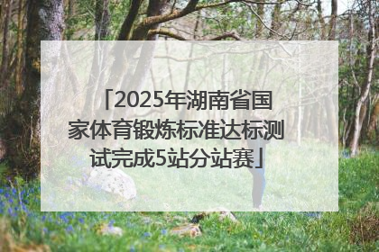 2025年湖南省国家体育锻炼标准达标测试完成5站分站赛