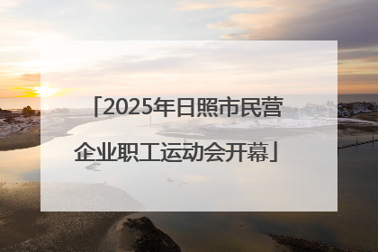 2025年日照市民营企业职工运动会开幕