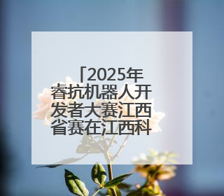2025年睿抗机器人开发者大赛江西省赛在江西科技学院举行