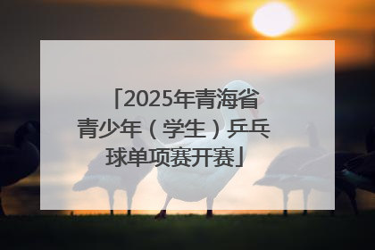 2025年青海省青少年（学生）乒乓球单项赛开赛