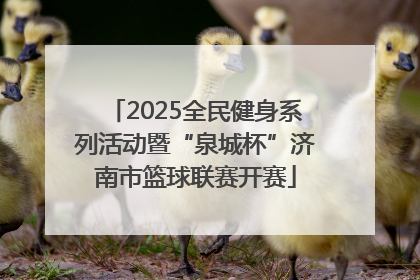 2025全民健身系列活动暨“泉城杯”济南市篮球联赛开赛