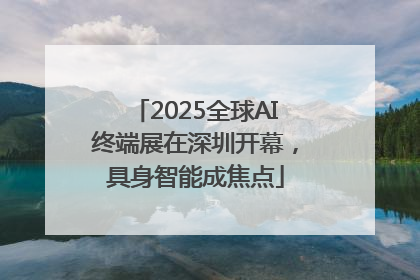 2025全球AI终端展在深圳开幕，具身智能成焦点
