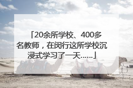 20余所学校、400多名教师，在闵行这所学校沉浸式学习了一天……