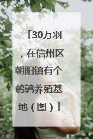 30万羽，在信州区朝阳镇有个鹌鹑养殖基地（图）