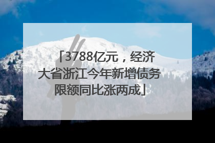 3788亿元，经济大省浙江今年新增债务限额同比涨两成