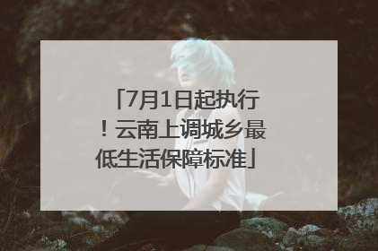 7月1日起执行！云南上调城乡最低生活保障标准