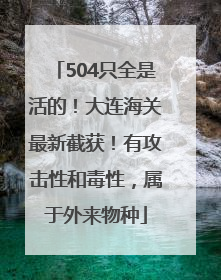 504只全是活的！大连海关最新截获！有攻击性和毒性，属于外来物种