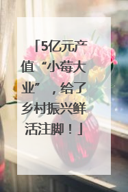 5亿元产值“小莓大业”，给了乡村振兴鲜活注脚！